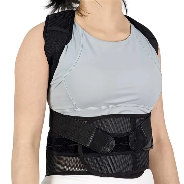 Ċineg Dahar Għal Poster U Skoljożi